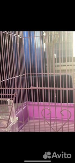 Клетка для волнистого попугая