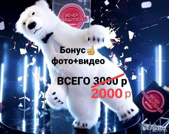 Поздравление от Белого Медведя