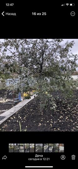 Дача 45 м² на участке 4,7 сот.