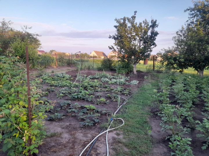 Дом 45,8 м² на участке 21 сот.