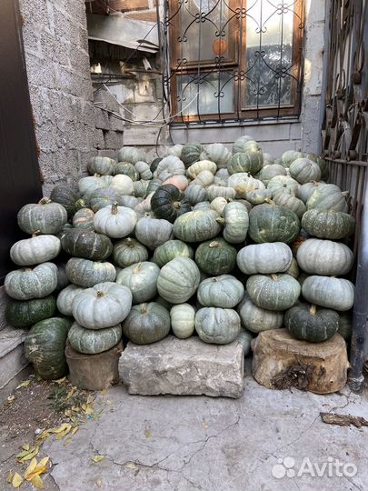 Продукты питания