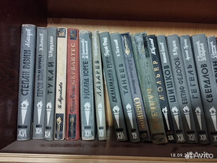 Домашняя библиотека