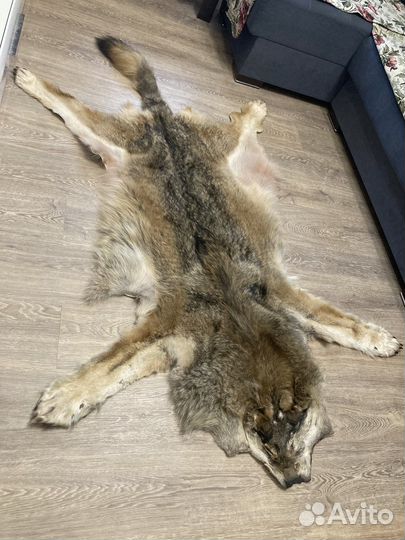 Шкура волка