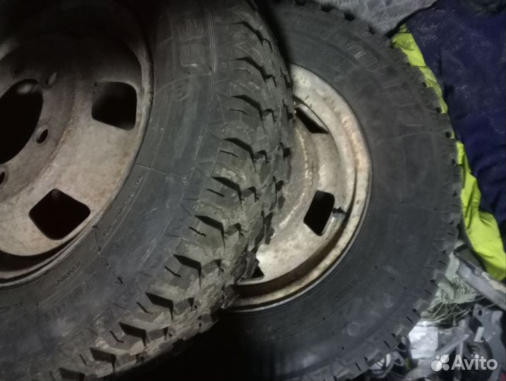 Forward Professional 139