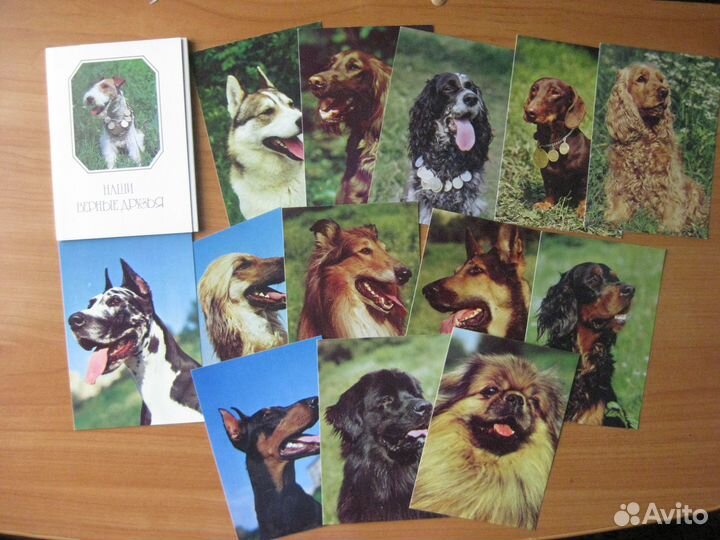 Набор открыток