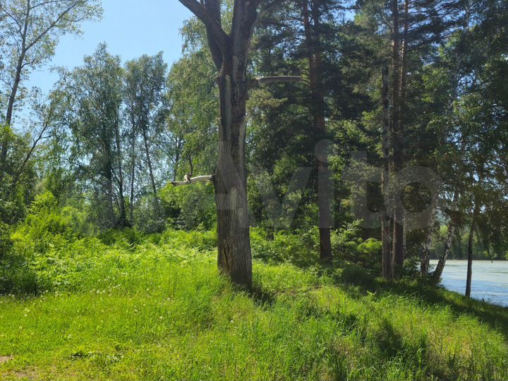 Участок 1,1 га (СНТ, ДНП)