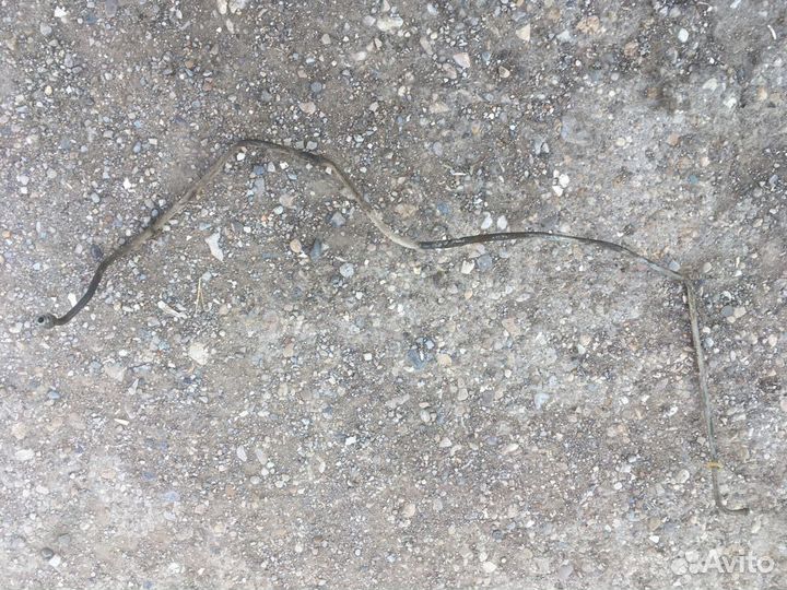 Трубка тормозная Шевроле Блейзер Blazer S15 97-05