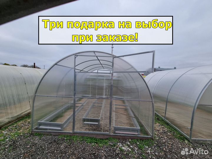 Теплица
