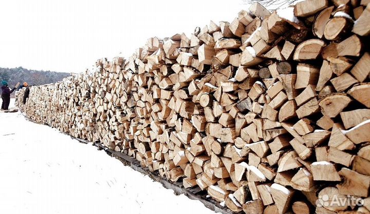 Дрова в область