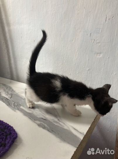 Вдобрые руки