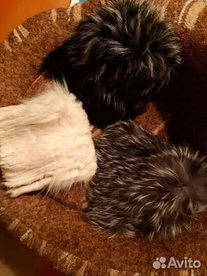 Женские шапки