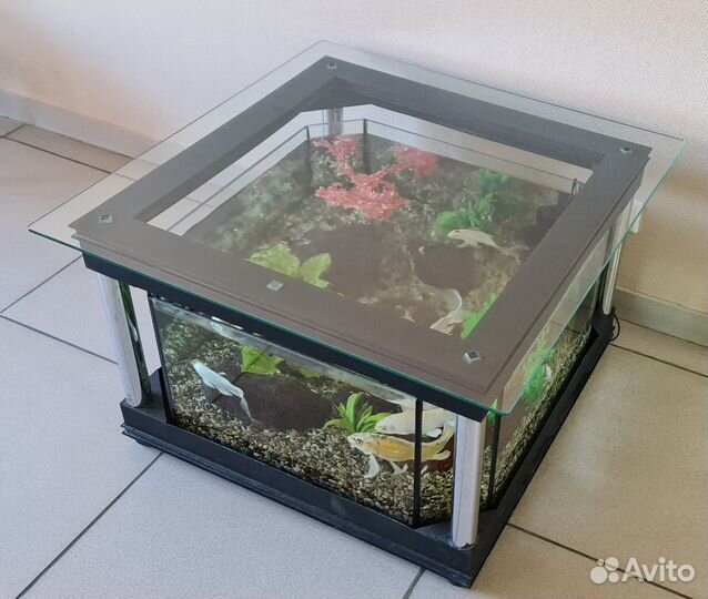 Аквариум с рыбками бу