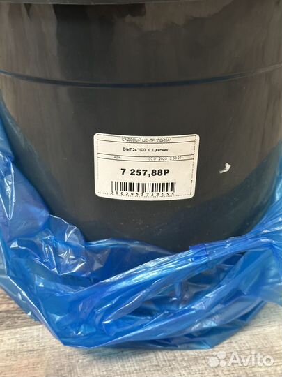 Диффенбахия