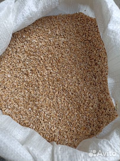 Пшеница, пшеница дробленная, пшеница колотая