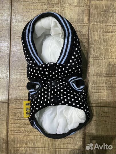 Одежда для собак