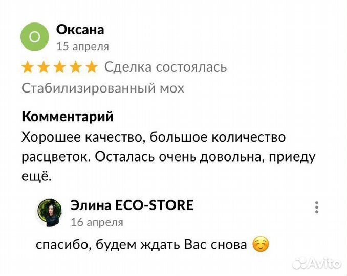 Название кафе из мха 90 см