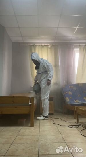 Уничтожение клопов,тараканов