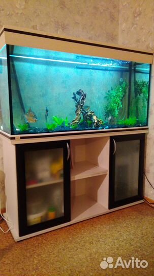 Аквариум Aquatech 288 с тумбой