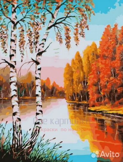 Картина по номерам 40x50 Осенние березки