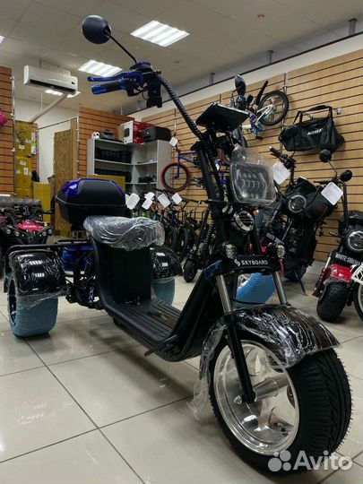 Skyboard trike BR60-3000 (marusya)