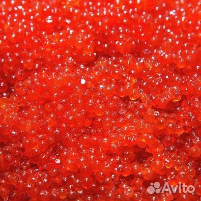 Икра Лососевая 2023 Путина Свежак