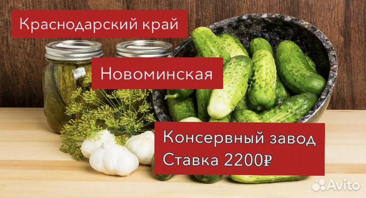 Упаковщики вахтой на консервный завод