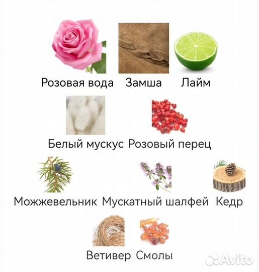 French Leather Memo Paris для мужчин и женщин