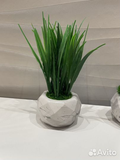 Кашпо из гипса