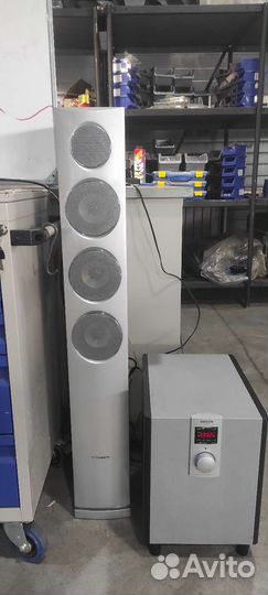 Колонки cortland