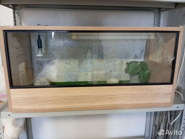 Террариум для рептилий