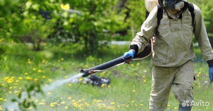 Обработка от тараканов клопов блох мух мокриц и др