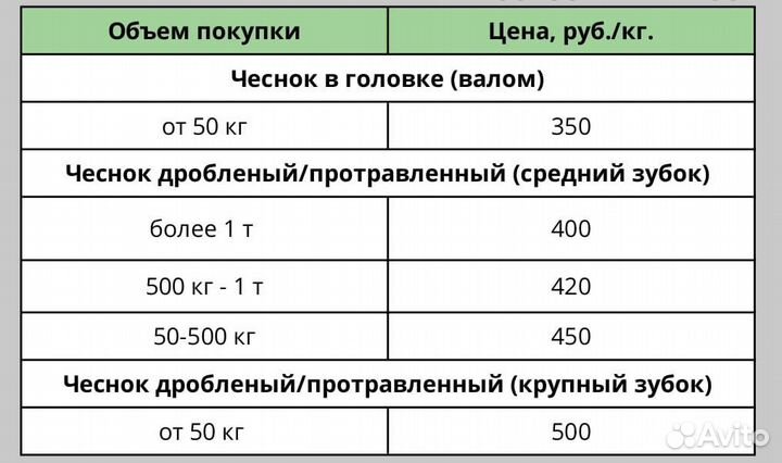 Чеснок озимый для посадки