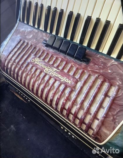 Аккордеон 