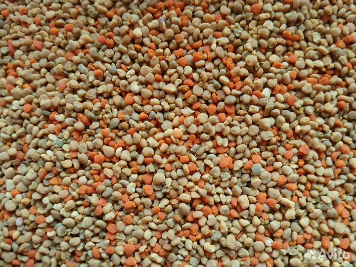 Пыльца пчелиная обножка