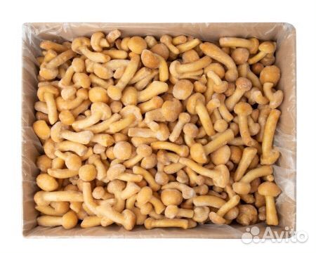 Белый гриб, лисички и опята заморженные целые