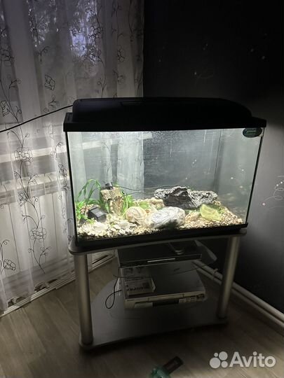Аквариум с тумбой
