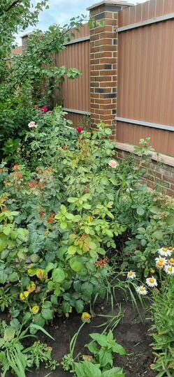 Дом 122 м² на участке 6 сот.