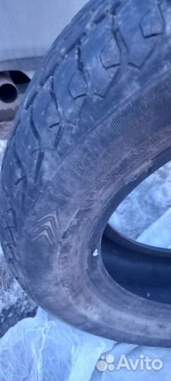 Tunga Zodiak 2 175/65 R14