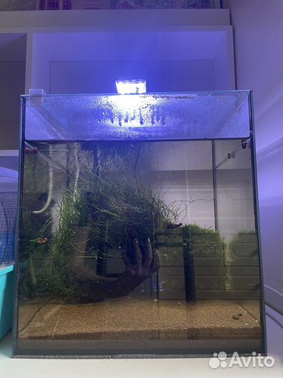 Аквариум нанокуб