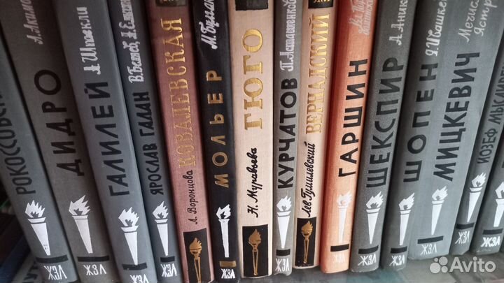 Книги из серии Жизнь замечательных людей