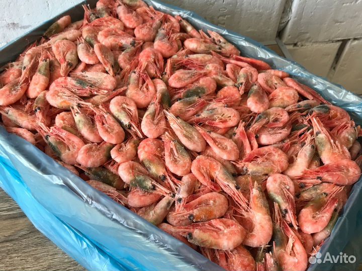 Северная креветка (150+) без глазури