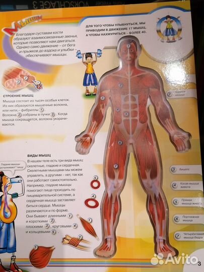 Энциклопедия 