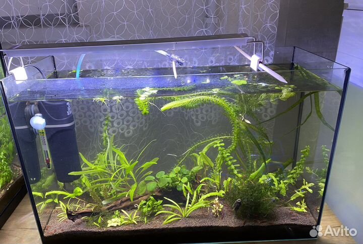 Аквариум 40 л