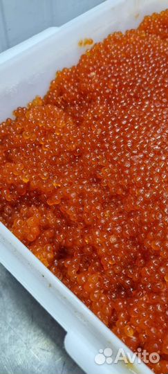 Икра красная