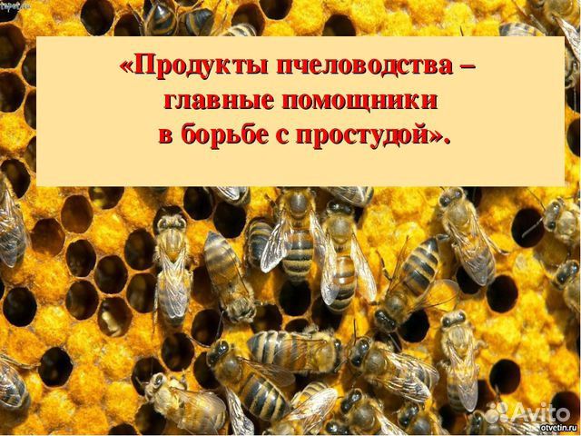 Продукты пчеловодства