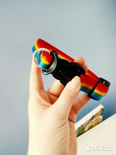 Ошейник для собак