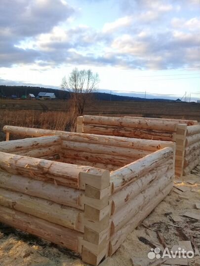 Сруб бани из липы