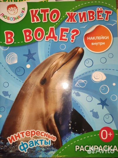 Игрушки и книжки