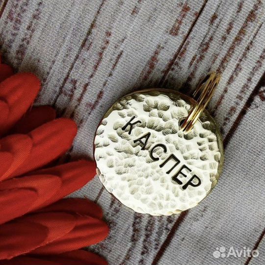 Адресники и шнурочки для собак и кошек