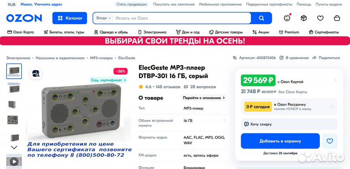 Тифлофлешплеер